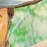 Clint Eastwood Saves A Nun From Bandits Two Mules For Sister Sara