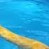 Watch This Fearless 12 Year Old Girl Swim With A Huge Burmese Python