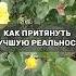 СЛОВА И МЫСЛИ ФОРМИРУЮТ ТВОЮ РЕАЛЬНОСТЬ