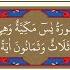 Yasin 5 Sayfa Hızlı Tekrar