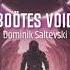 Dominik Saltevski Boötes Void Original Mix