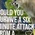 Could You Survive A Mountain Lion Attack Shorts