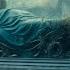 The Mysterious Tisul Princess Is She The Real Sleeping Beauty A 800 Million Year Mystery