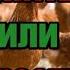 Беру кур несушек на птицефабрике а не инкубирую сам Считаем разницу