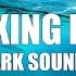 Lost Ark Soundtrack Ocean World Relaxing Music Ambience