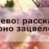 2 Александр Лисичный В чем наша ноебольшое потребность Was Ist Unser Arößtes Bedürfnis 27 05 2014