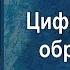 Цифровизация образования Анна Шафран 2021 05 18