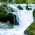 Mountain Stream Water Falling In Forest White Noise Mountain Waterfall Nature Sounds For Sleep