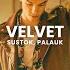 VELVET SUSTOK PALAUK OFFICIAL VIDEO