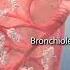 The Animation Of Lungs And Its Parts Bronchi Bronchioles Alveoli Shorts Shortvideo