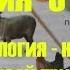 Биология 5 кл 1 Биология наука о живой природе Автор В В Пасечник