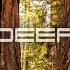 DEEP XXXIV M83 Kölsch Dyzen Helsloot Estiva And More By MarkQ